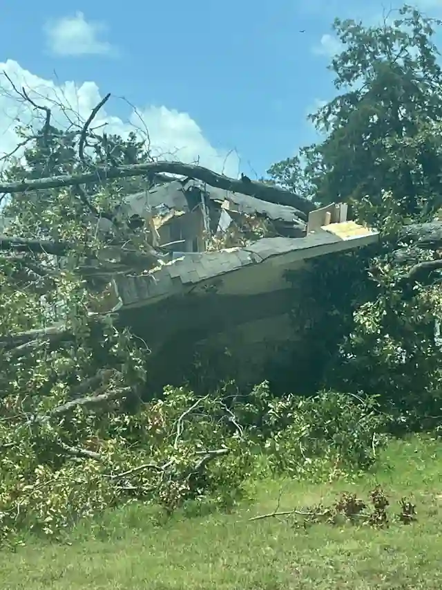 A large tree that came down through a house roof, with branches piled across the shingles