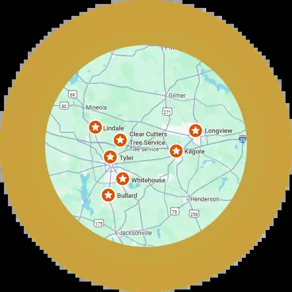 Map of East Texas with Tyler, Bullard, Kilgore, Lindale, Longview and Whitehouse marked