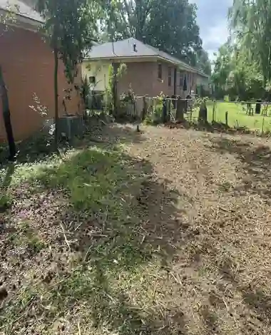What Happens to Roots After Stump Grinding?