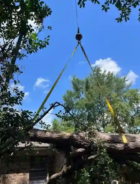 Crane strap lifting a heavy limb off a house roof during a Clear Cutters removal