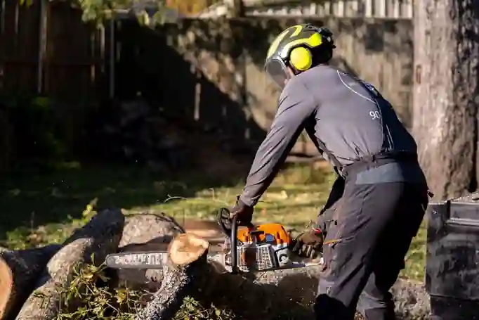 Crew member bucking a trunk into rounds with a chainsaw