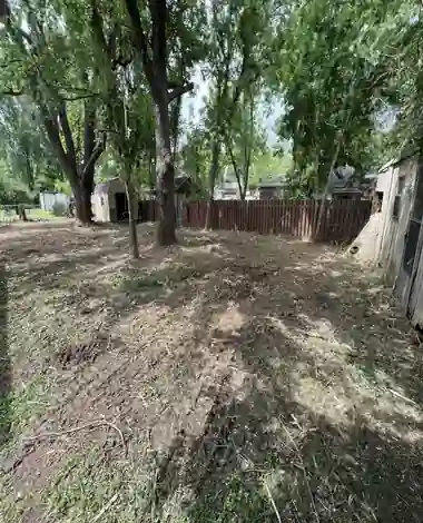 Why You Need Stump Grinding and Removal in Texas