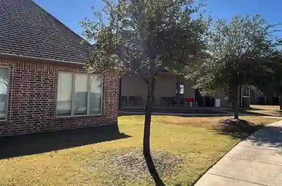 Can Excessive Pruning Harm Your Trees?