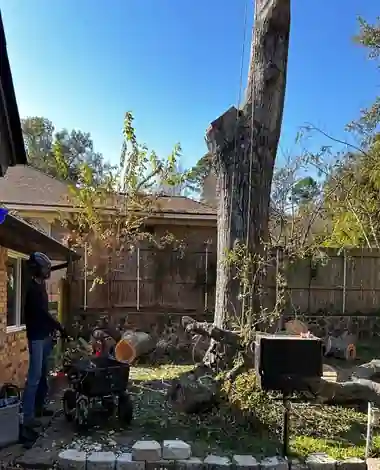 What To Do With Tree Stump Grindings